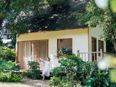 -成都保利公园皇冠假日酒店(熊猫基地店)