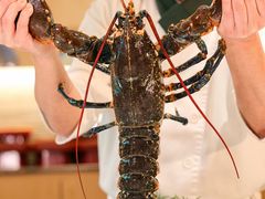 -松临·铁板烧&Omakase(神农店)