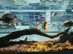 -弓舍射箭俱乐部(高新总店)