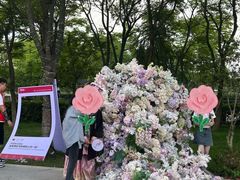 -艾溪湖湿地公园