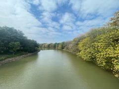 -海珠湖公园