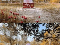 -西青郊野公园