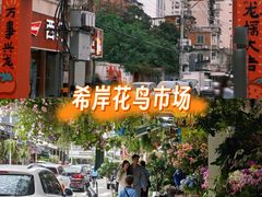 -溪岸路花鸟市场