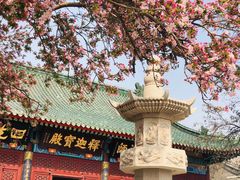 -天津大悲禅院
