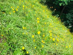 -西湖风景区-江洋畈生态公园