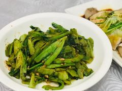 豆豉凉瓜麦菜-粤·向群饭店(龙津东路总店)
