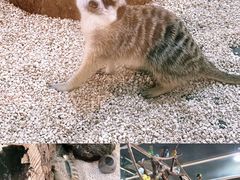 -海合安武汉极地海洋公园