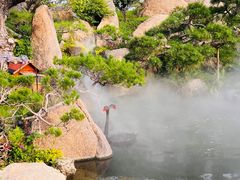 -罗红摄影艺术馆