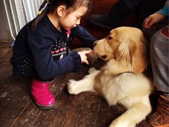 女魔王与六六-百好乐宠物友好餐厅(朝外大街店)