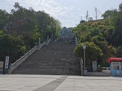 -铁山坪森林公园