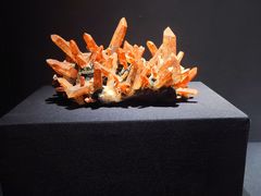 -山东博物馆