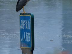 -后襄河公园