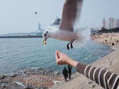 -青岛海尔洲际酒店