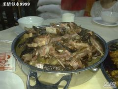 20090906259-李四哥太安鱼食府