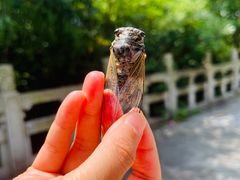 -白马涧龙池景区