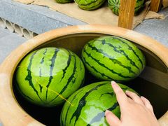 -打川川·川蜀毛肚(南市场店)