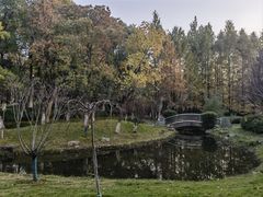 -月湖风景区