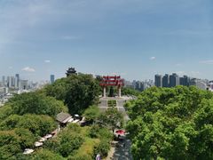 -黄鹤楼公园(黄鹤楼)