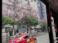 -凤张螺蛳粉·爽口粉(跃进路总店)