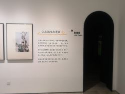 点击看大图 -金夫人婚纱摄影(总店)