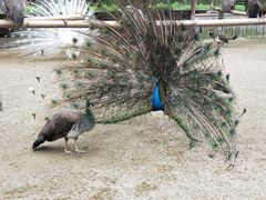 -韶关经律论国际酒店温泉