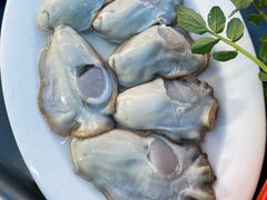 -濠轩阁特色生蚝火锅总店