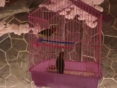 -蓝鲸湾汤泉(包河店)