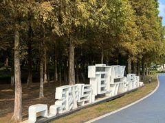 -宜兴龙背山森林公园