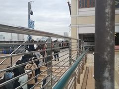 -台场海滨公园船码头