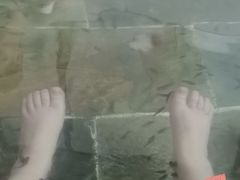 -兴芮温泉度假区