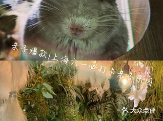 六一溜娃|可以与小动物互动的亲子乐园团购好划算