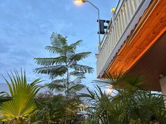 -芸鲜季·云南野生菌餐厅· 云南风物味研社(闵行店)