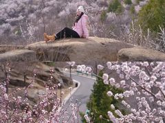 -白水寺森林公园