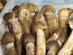 -菌之家·专业纯野生菌火锅·特色炒菌