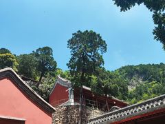 -北京上方山国家森林公园