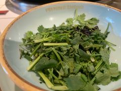 -费明中罗非鱼(大石坝店)