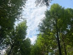-捞渔河湿地公园