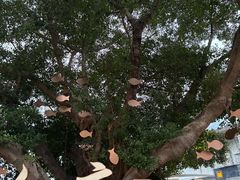 -飞霞风景名胜区