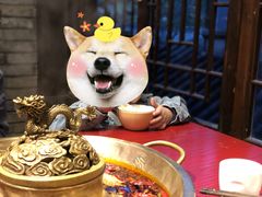 -小龙翻大江文化火锅(宽窄店)