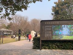 -唐城墙遗址公园