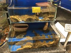 -新海渔港·胶东海鲜家常菜·家宴(奥体中心店)
