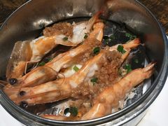 -尚雅铁板料理自助餐厅(乐松店)