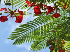 -惠州金海湾嘉华度假酒店