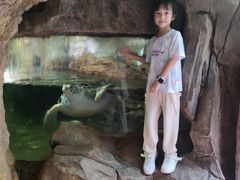 -长鹿旅游休博园