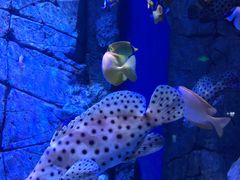 -成都浩海立方海洋公园