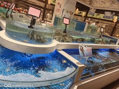-渔人码头(中南店)