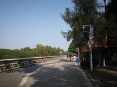 -宝安西湾红树林湿地公园