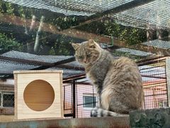 -青藏高原野生动物园
