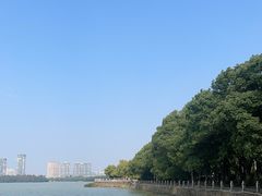 -燕鸣岛
