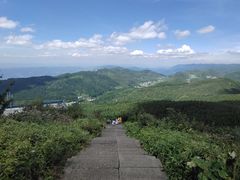 -武陵山森林公园